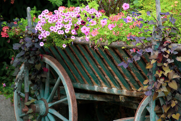 Fototapeta na wymiar Kutsche voller Blumen