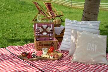 Beautiful countryside picnic blanket with pillows and an appetizer set