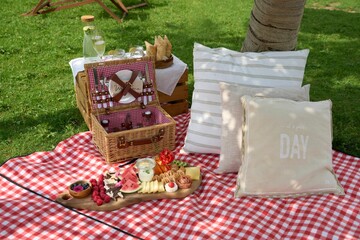 Beautiful countryside picnic blanket with pillows and an appetizer set