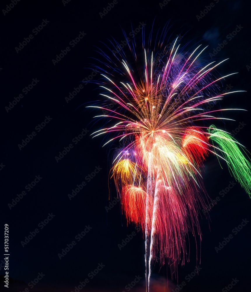 Wall mural Colorful fireworks at the night sky perfect for background