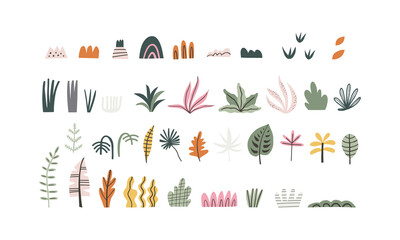 Big collection of jungle, tropical plants drawing in handdrawn style. Vector illustration, clipart isolated on white background. Elements for kids design.
