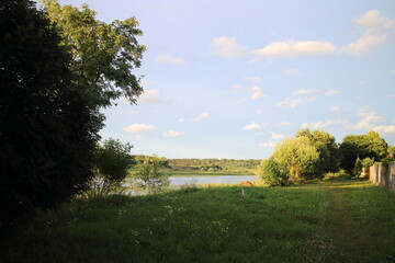 Obraz premium summer river in the countryside in the evening
