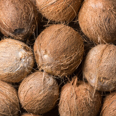 pile of coconuts, healthy tropical fruits without husk, background, taken from above
