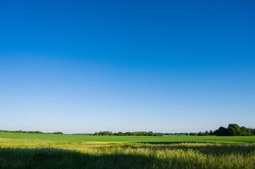 Obraz premium Scenic landscape of field at sumer. Green meadows. Blue sky.