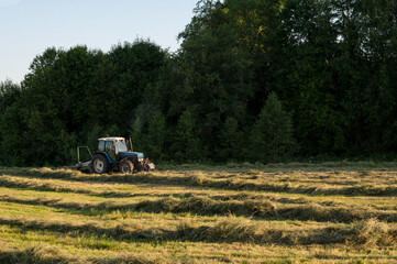 The tractor is working in the field. Agricultural industry. Rural area.