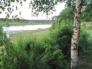 Fototapeta premium summer river in the countryside in the evening