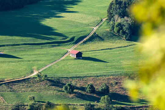Ein Haus auf der Wiese