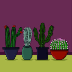 Beautiful vases with cactus