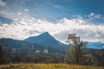 Fototapeta premium Landschaft | Berge