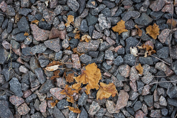 Many stones on the ground