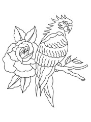 Bird parrot on a flowering branch hand drawing. Illustration of spring nature.