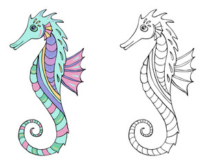 Vector Illustration of hand drawn sea horse. Beautiful drawings with patterns and small details.