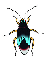 Hand drawn insect illustration, detailed vector art. Isolated bug on white background in a light-colored wooden frame.