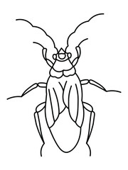 Cockroach pest, contour vector illustration of a cockroach, top view