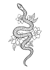 Vector Illustration of hand drawn snake and flowers. Black and white vector illustration for coloring book. Beautiful drawings with patterns and small details. 