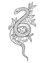 Vector Illustration of hand drawn snake and flowers. Black and white vector illustration for coloring book. Beautiful drawings with patterns and small details. 