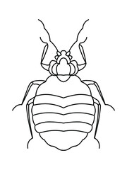 Illustration of a Black Beetle in vintage style