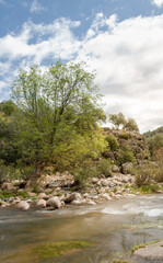 Mágico paisaje de río con árbol en su orilla