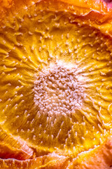 Pineapple core drying after crop