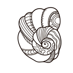 Shell with ornament. Linear black and white illustration.