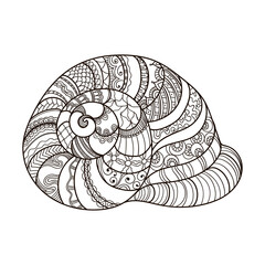 Shell with ornament. Linear black and white illustration.