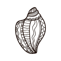Shell with ornament. Linear black and white illustration.