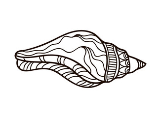 Shell with ornament. Linear black and white illustration.