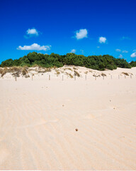 Sardegna, le meravigliose dune di sabbia della spiaggia di Su Giudeu, a Domus de Maria, in Italia, Europa