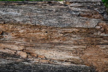 Madera vieja antigua 