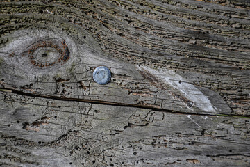 Tabl&oacute;n antiguo r&uacute;stico 