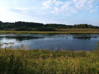 summer river in the countryside in the evening