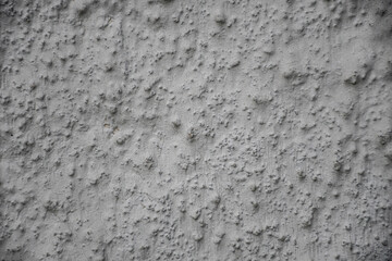 Pared rugosa blanca 