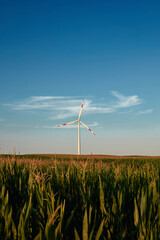 Windmill farm park and turbines for producing green electricity.