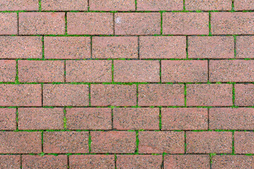 The texture of paving with red stone, green moss sprouts through the joints of paving slabs