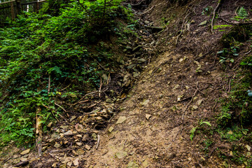 deep ravine in the forest