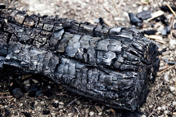 a black burnt log from a fire