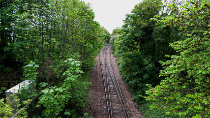 Railway path in the forest