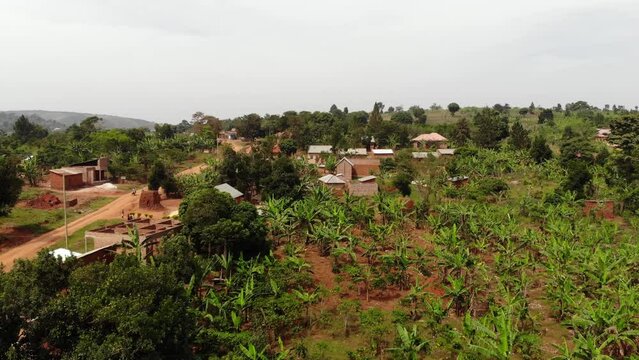 Drone shot over the slum village of Uganda, with some green palms and clay houses. High quality 4k footage