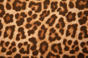 image of leopard textile background 