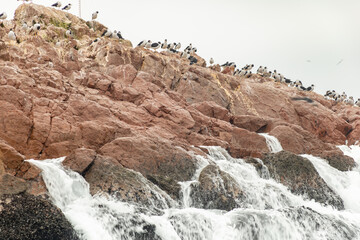 The Ballestas Islands are a group of small islands off the Peruvian coast