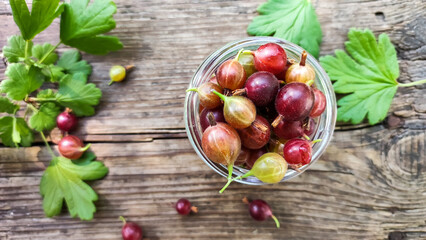 Ripe gooseberry collected in a glass jar.