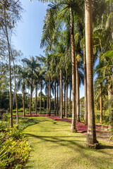 Fototapeta premium natural landscape in the city of Brumadinho, State of Minas Gerais, Brazil
