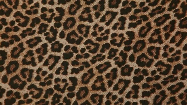 footage of leopard textile background 