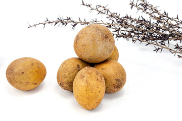 fresh Sapodilla fruit isolated in white background, studio lighting, macro detailing, composition with elements, no one, copy space, negative space, multiple Sapodilla isolated