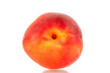One ripe red apricot, closeup, isolated on white background.
