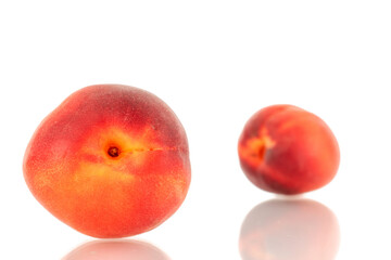 Two ripe red apricots, close-up, isolated on a white background.