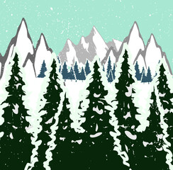 Winter mountain landscape. Mountains, snow, big pines. Blue landscape. Vector image