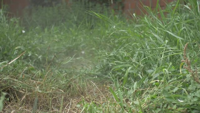 Cutting Grass Using A Old Scythe Manual Tool