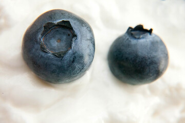 Blueberry & Creamcheese