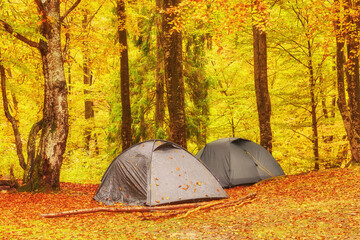 Tourist camp in the autumn forest with red and yellow foliage.